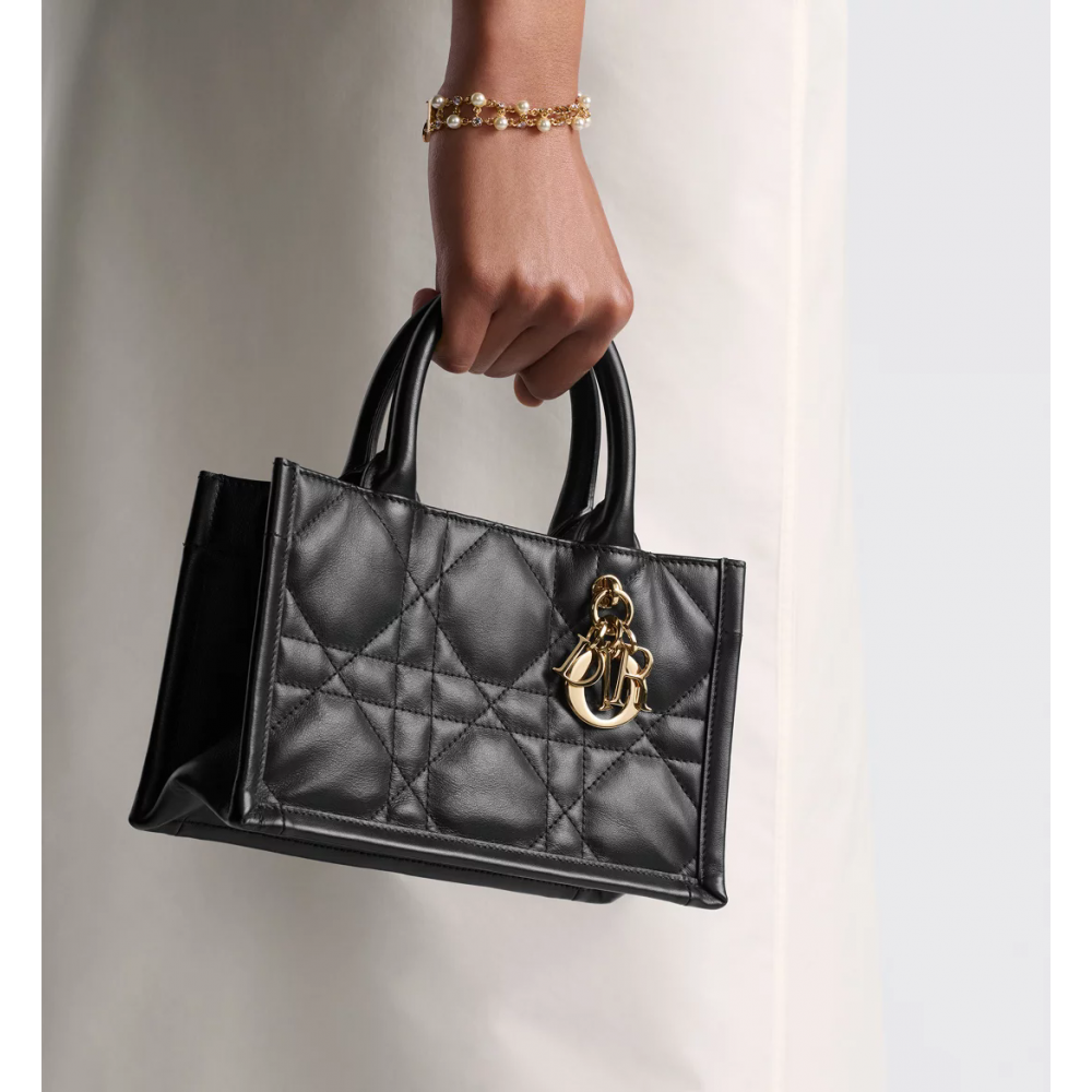 Mini Dior Book Tote