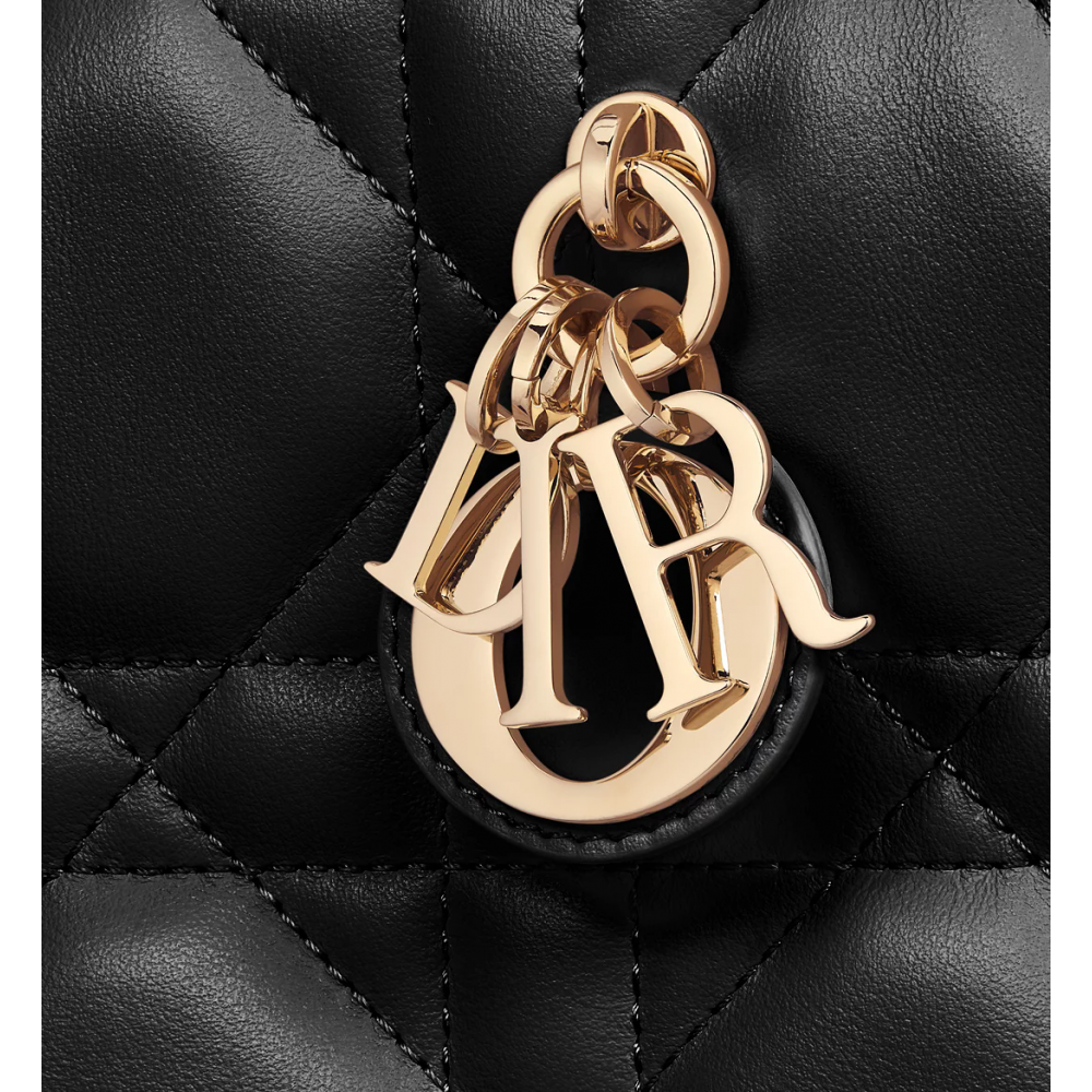 Mini Dior Book Tote