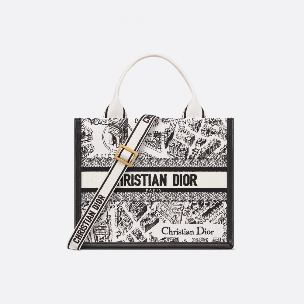 Small Dior Book Tote