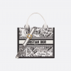 Small Dior Book Tote