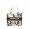 Small Dior Book Tote