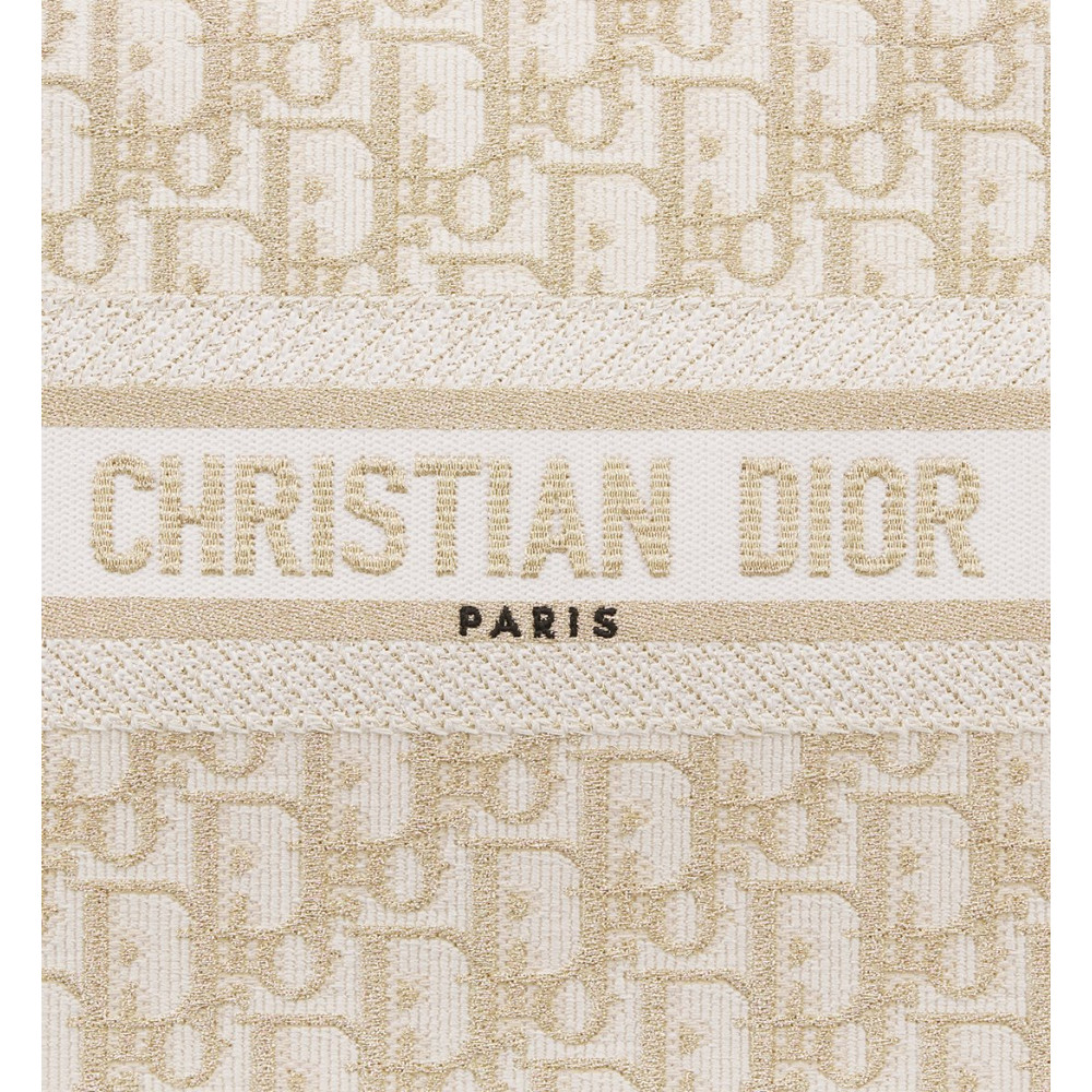 Small Dior Book Tote Small Dior Book Tote