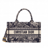 Mini Dior Book Tote