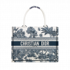 Medium Dioreviera Book Tote Handbag