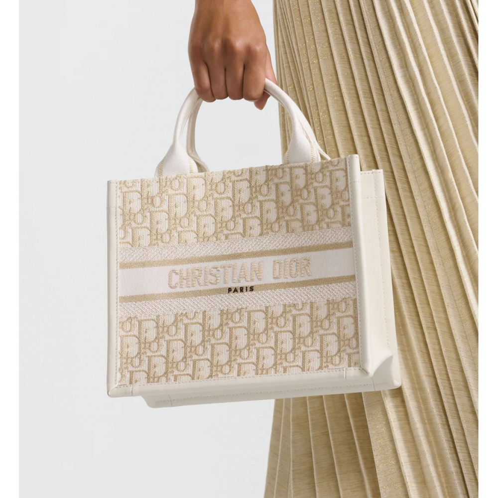 Small Dior Book Tote Small Dior Book Tote