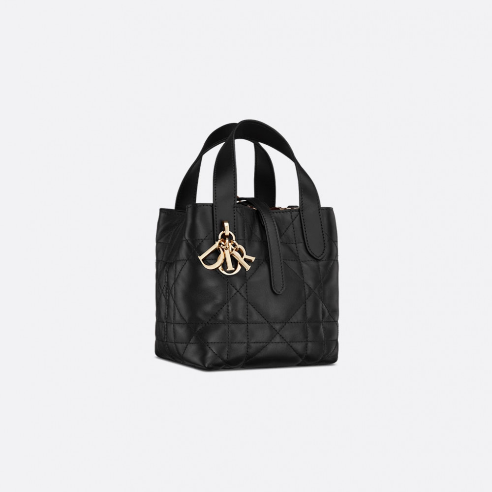 Mini Dior Toujours Vertical Handbag