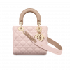 Small Lady Dior My Abcdior Bag