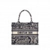 Small Dior Book Tote