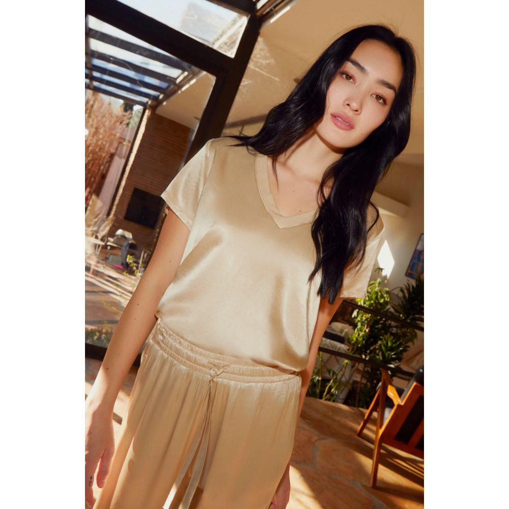 Sheer V Neck Top