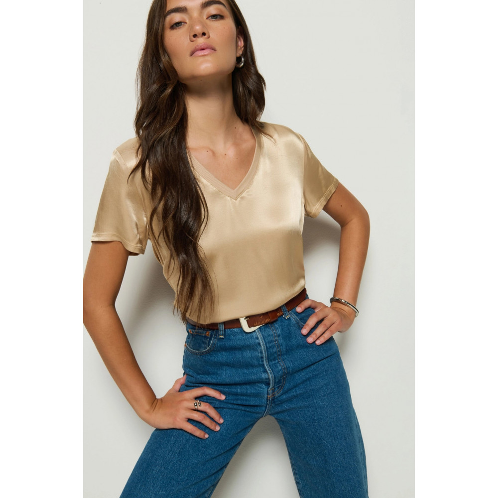 Sheer V Neck Top