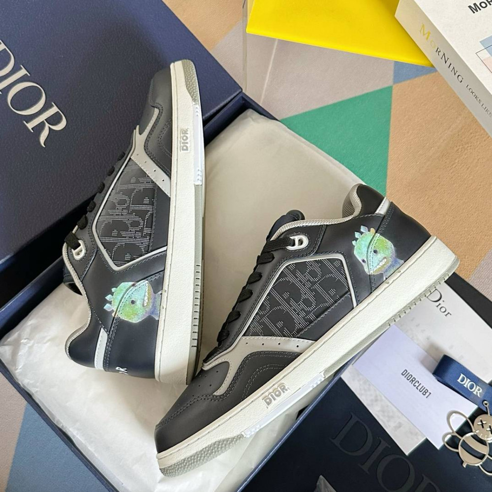 DIOR B27