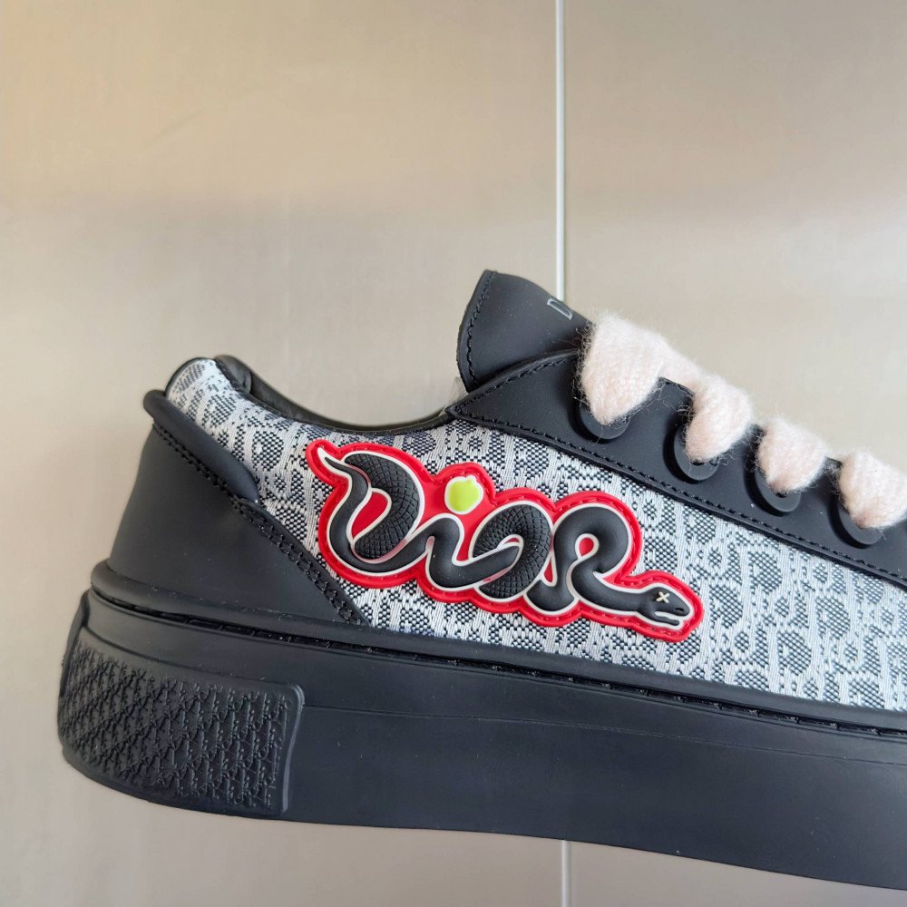Dior B33