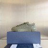 Dior B33