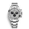 Men Cosmograph Daytona M116509