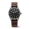 Iwc Pilot Series Iw327006 Watch