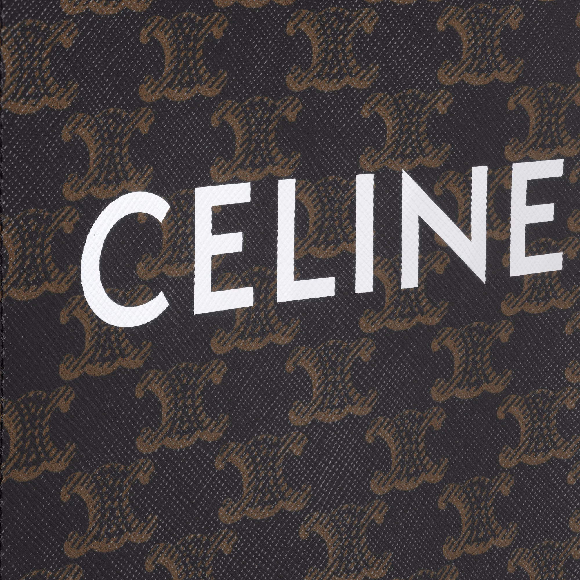 Mini Vertical Cabas In Triomphe Canvas With Celine Printmini Vertical Cabas In Triomphe Canvas With Celine Print Mini Vertical Cabas In Triomphe Canvas With Celine Printmini Vertical Cabas In Triomphe Canvas With Celine Print
